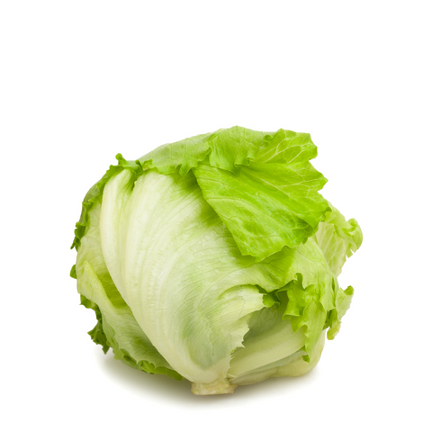 lettuce iceberg 