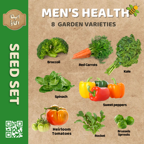 Men's Health Vegetable Seeds Set