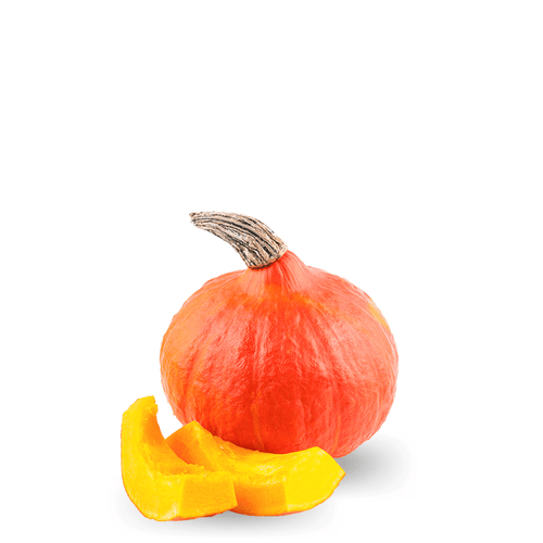Pumpkin Potimarron Seeds – Chestnut Flavor & Sweet Orange Flesh