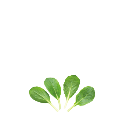ORGANIC BABY LEAF "PACK CHOI WHITE STEM " - Apnaugao