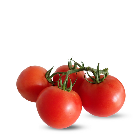 Heirloom Tomato Seeds - Rio grande ( Marmande )