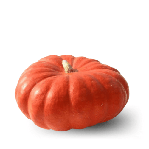 Pumpkin Rouge VIF Seeds (Halwa Kadu) – Flat Round & Deep Orange