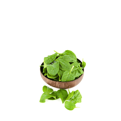 Heirloom Baby Spinach ( Palak ) Seeds - Apnaugao