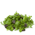 Asian Baby Leaves Gourmet Salad Mix, 8 Different Varieties - Apnaugao
