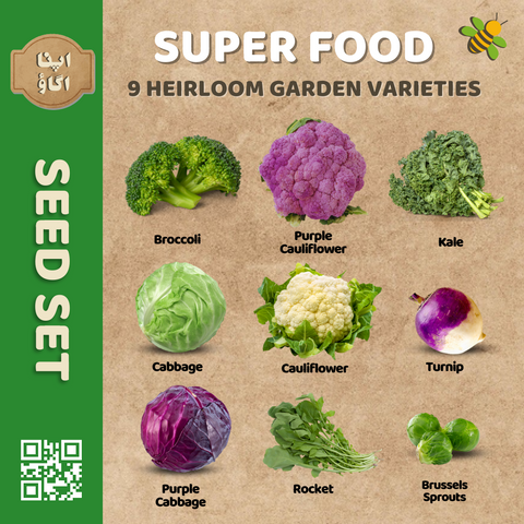 Super Food Vegetable Seeds Set