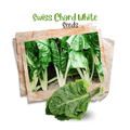 Swiss chard ( White ) Organic Seeds - Apnaugao