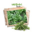 Wild Rocket 'Arugula' Organic Seeds - Apnaugao