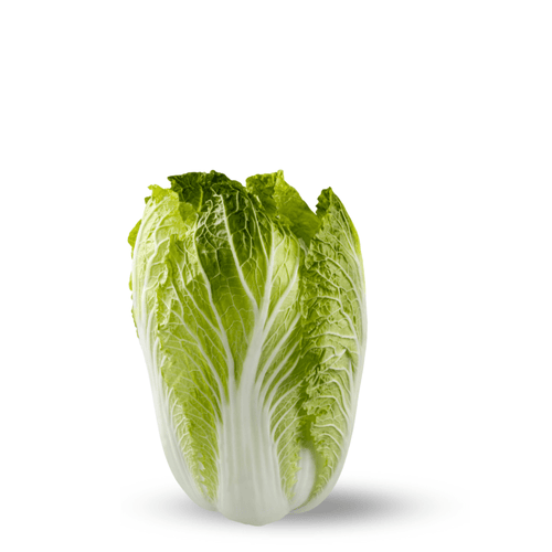 Heirloom China Cabbage ( Napa Cabbage) Seeds