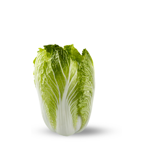 Heirloom China Cabbage ( Napa Cabbage) Seeds