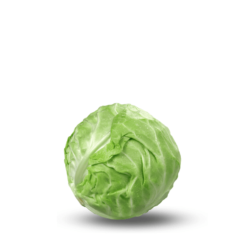 Heirloom Cabbage Green Seeds (Band Gobi) Seeds