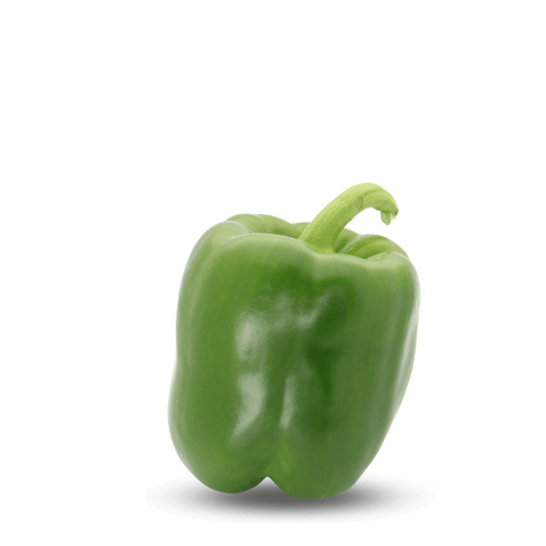 Heirloom Green Capsicum Seeds – Crisp Green Shimla Mirch