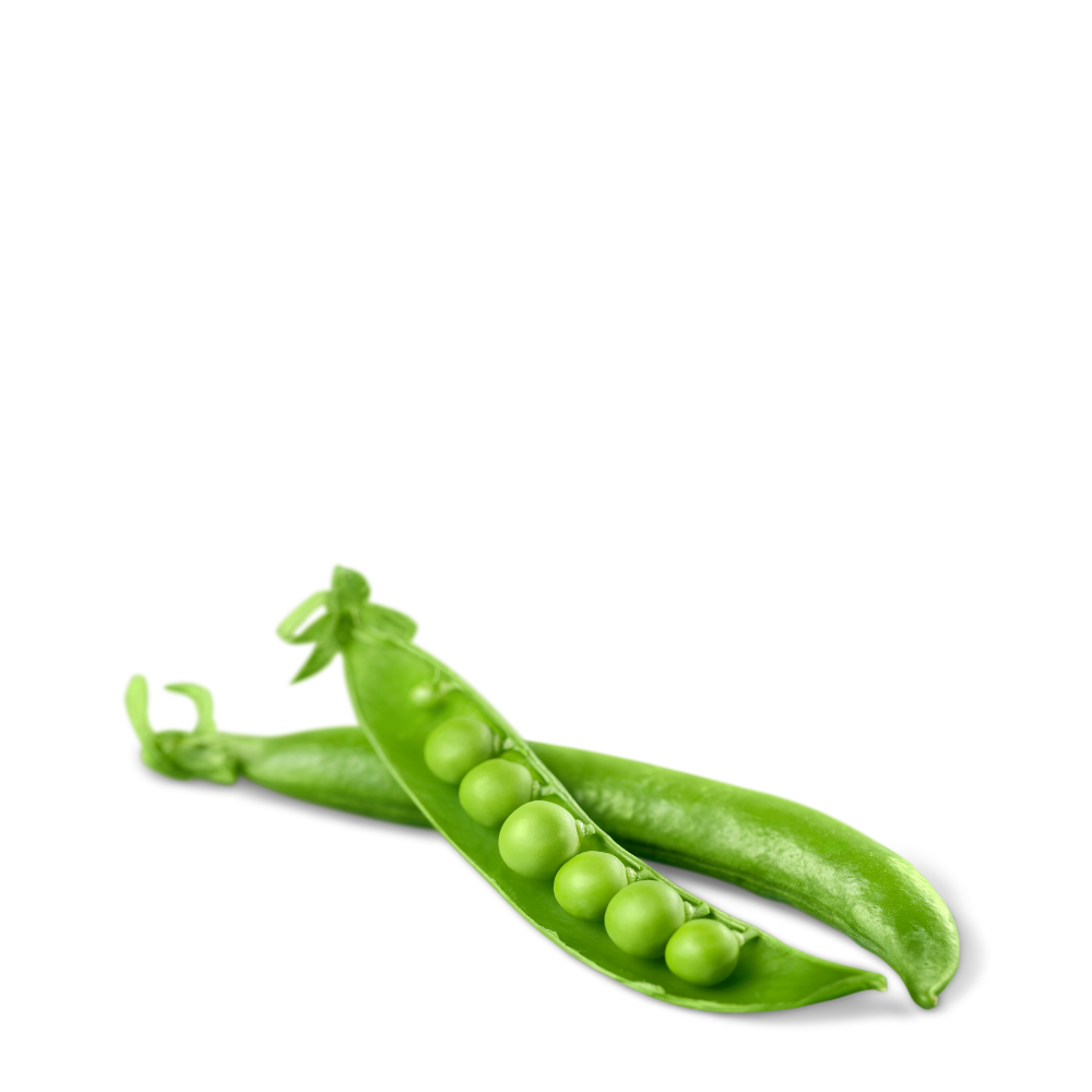 Green Peas ( Matar ) Seeds