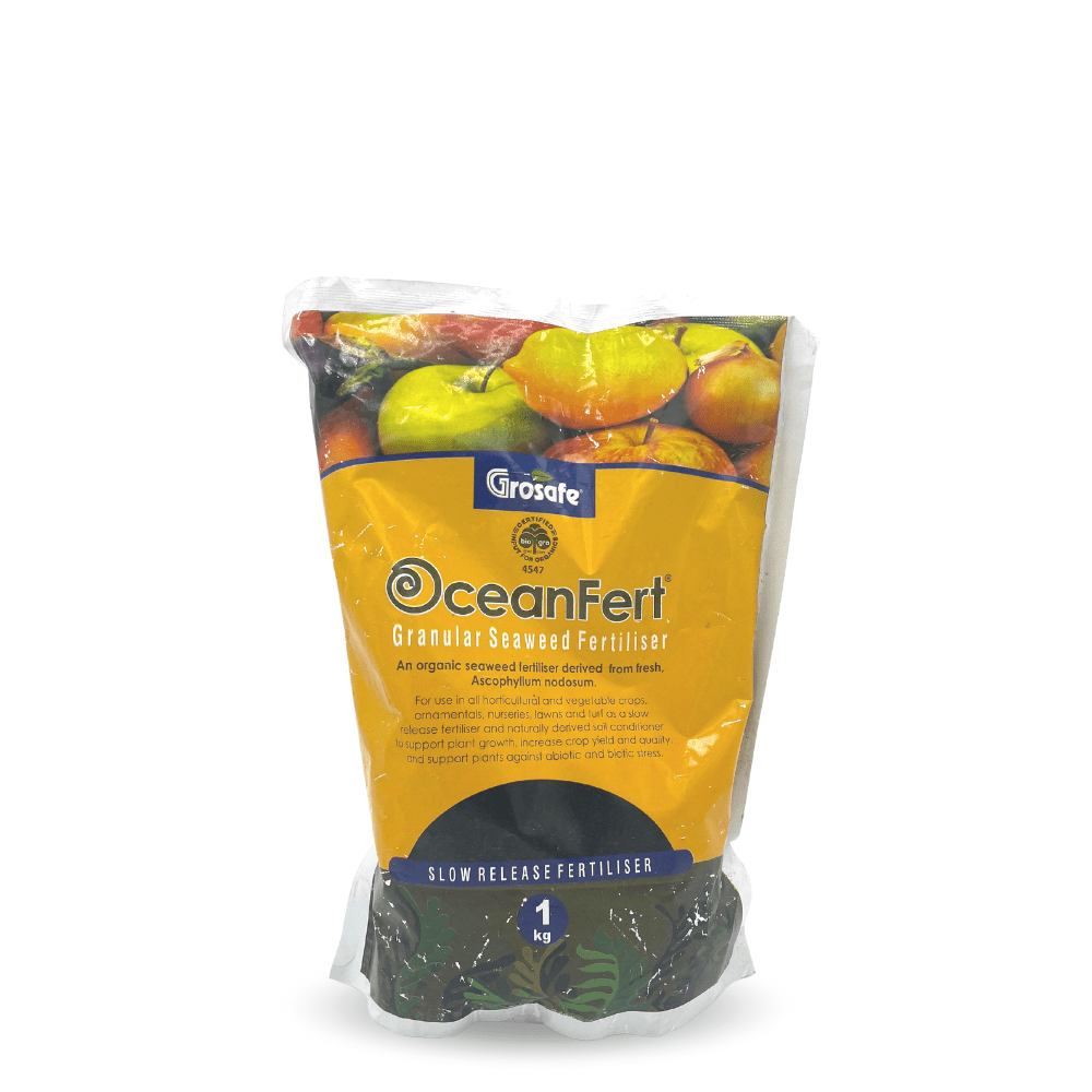 Granular Sea Weed Fertilizers ( made in New Zealand ) 1kg - Apnaugao