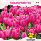 PINK IMPRESSION |  Min. Qty - 10 Pieces