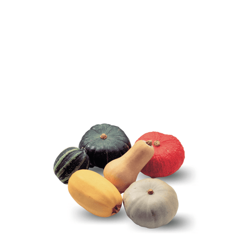 Pumpkin Small Mix Fruit Seeds – Decorative & Edible Mini Pumpkins
