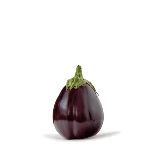 Heirloom Round Brinjal (Baingan) Seeds – Classic Purple Eggplant