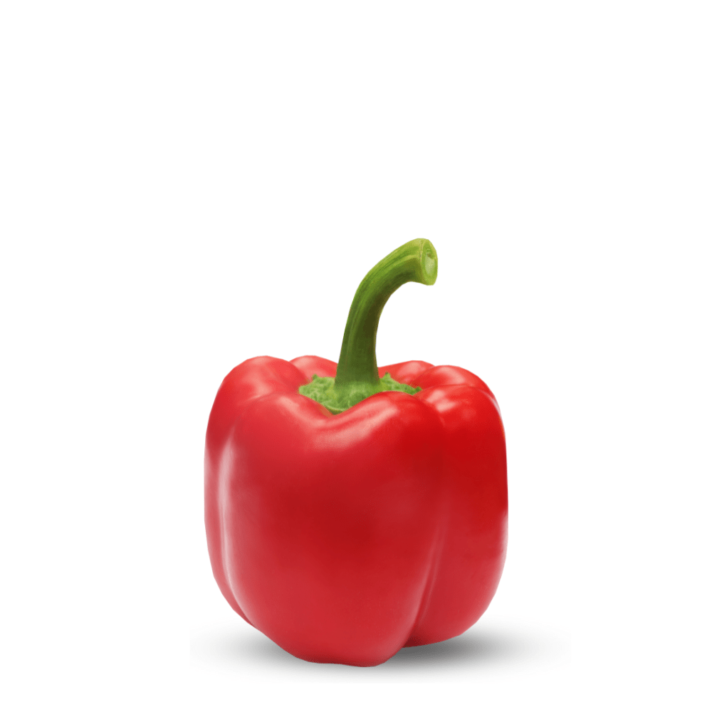 Heirloom Exotic Colored Capsicum ( Red ) Seeds - Apnaugao