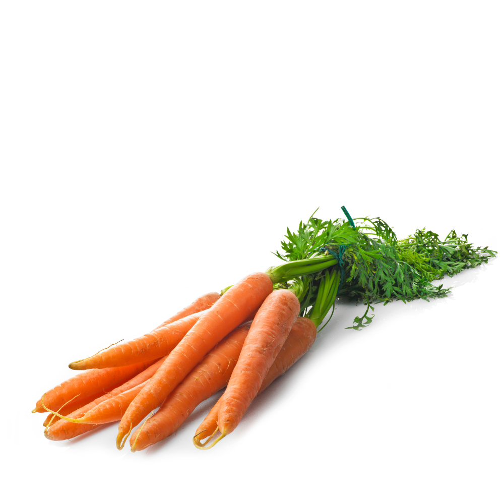 Heirloom Carrots Seeds - Red