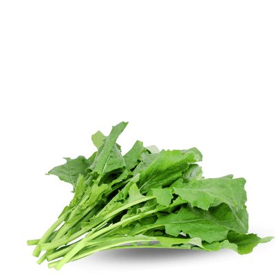 Tooriya Saag Seeds - Apnaugao