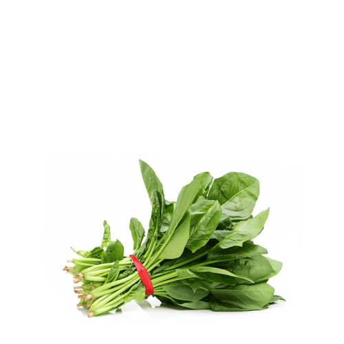 Heirloom Spinach (Palak) Seeds – Open-Pollinated, Non-GMO