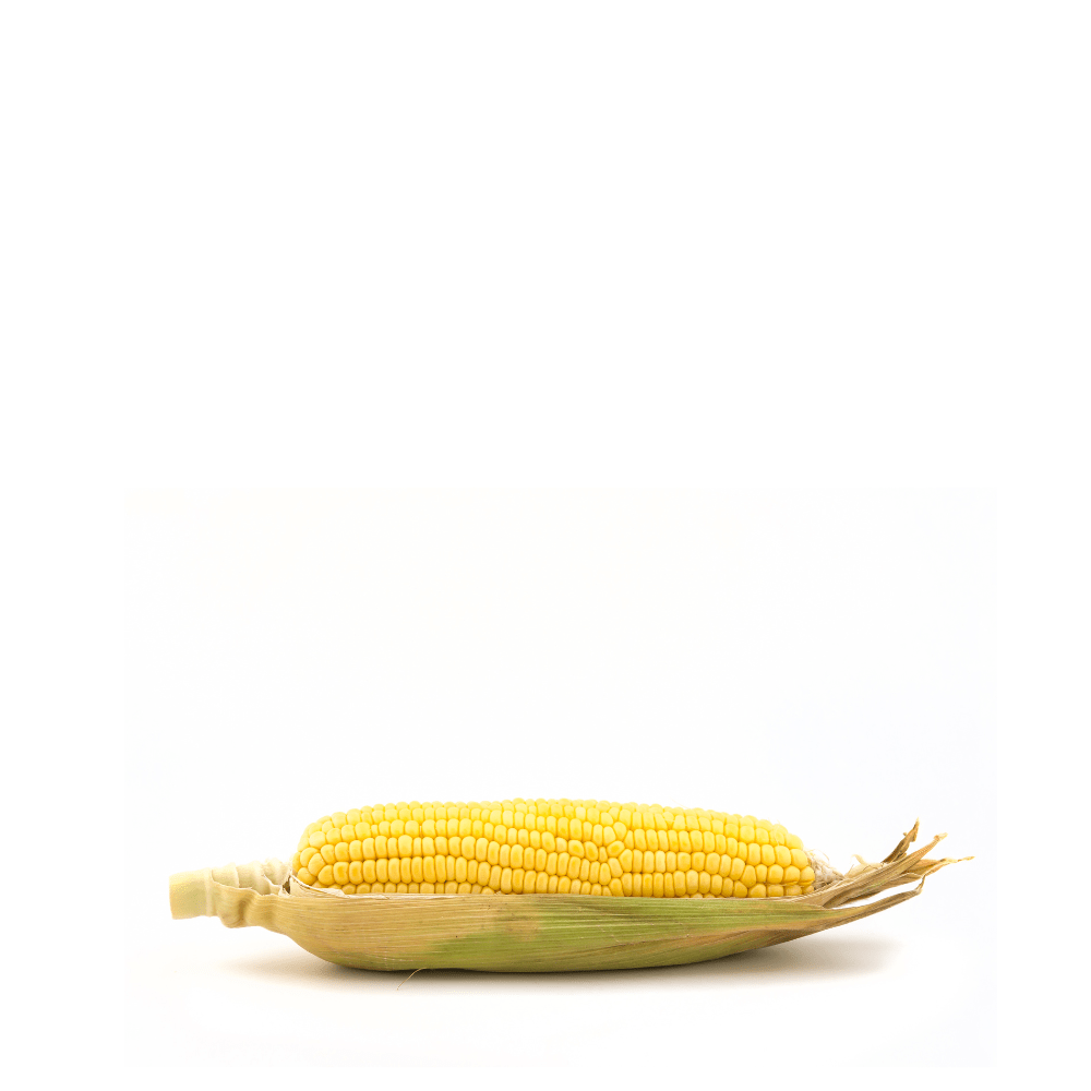 Sweet Corn Seeds - Apnaugao