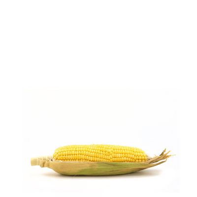 Sweet Corn Seeds - Apnaugao