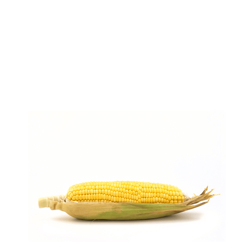 Sweet Corn Seeds