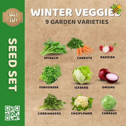 Winter Vegetable Seed Set