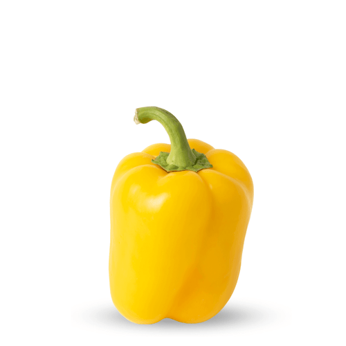 Heirloom Yellow Capsicum Seeds – Exotic Sweet Pepper